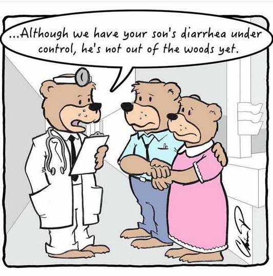 Bear Doctor