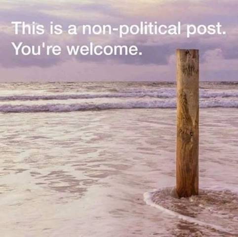 Non-political post